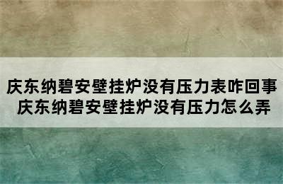 庆东纳碧安壁挂炉没有压力表咋回事 庆东纳碧安壁挂炉没有压力怎么弄